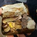 Туристы нашли возле польской границы клад золотых монет